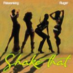 Patoranking ft. Ruger - Shake That