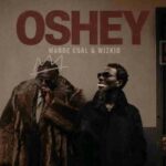 Wande Coal & Wizkid – Oshe