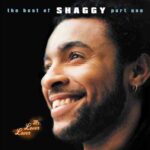 Shaggy – Boombastic (Sting Remix)