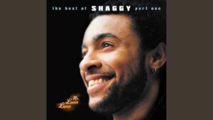 Shaggy – Boombastic (Sting Remix)