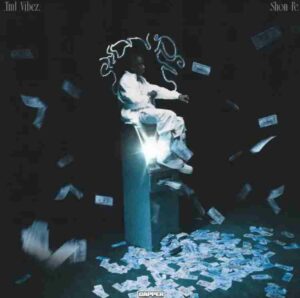 Tml Vibez – SHON PE (Count Your Money)